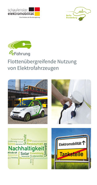 Flyer eFahrung